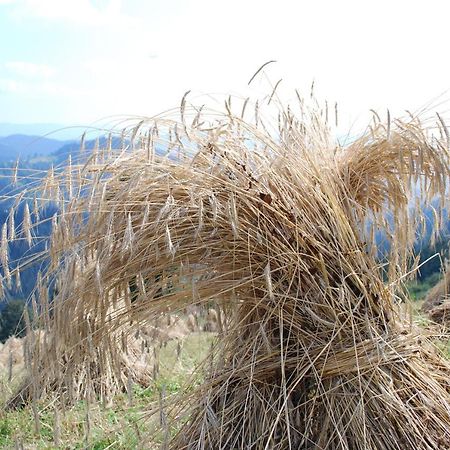 Farm Stay Rotovnik - Plesnik سلوفينج غرادتس المظهر الخارجي الصورة