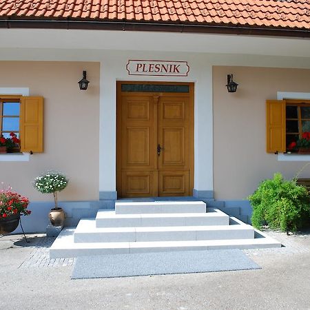 Farm Stay Rotovnik - Plesnik سلوفينج غرادتس المظهر الخارجي الصورة
