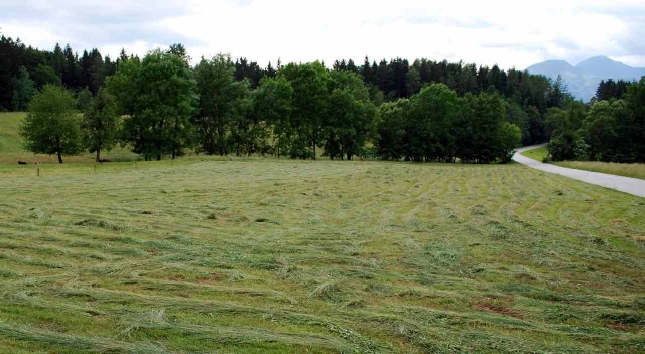 Farm Stay Rotovnik - Plesnik سلوفينج غرادتس المظهر الخارجي الصورة