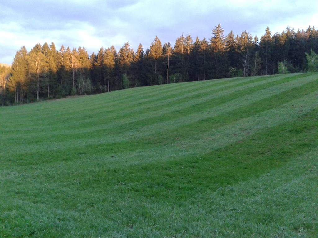 Farm Stay Rotovnik - Plesnik سلوفينج غرادتس المظهر الخارجي الصورة