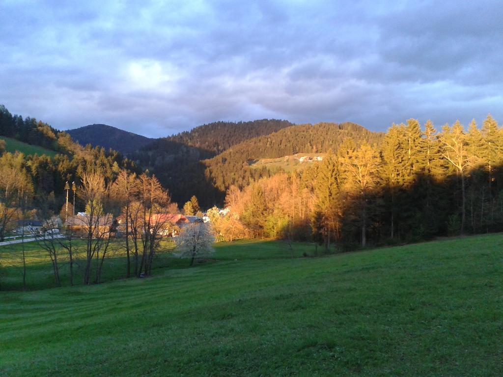 Farm Stay Rotovnik - Plesnik سلوفينج غرادتس المظهر الخارجي الصورة