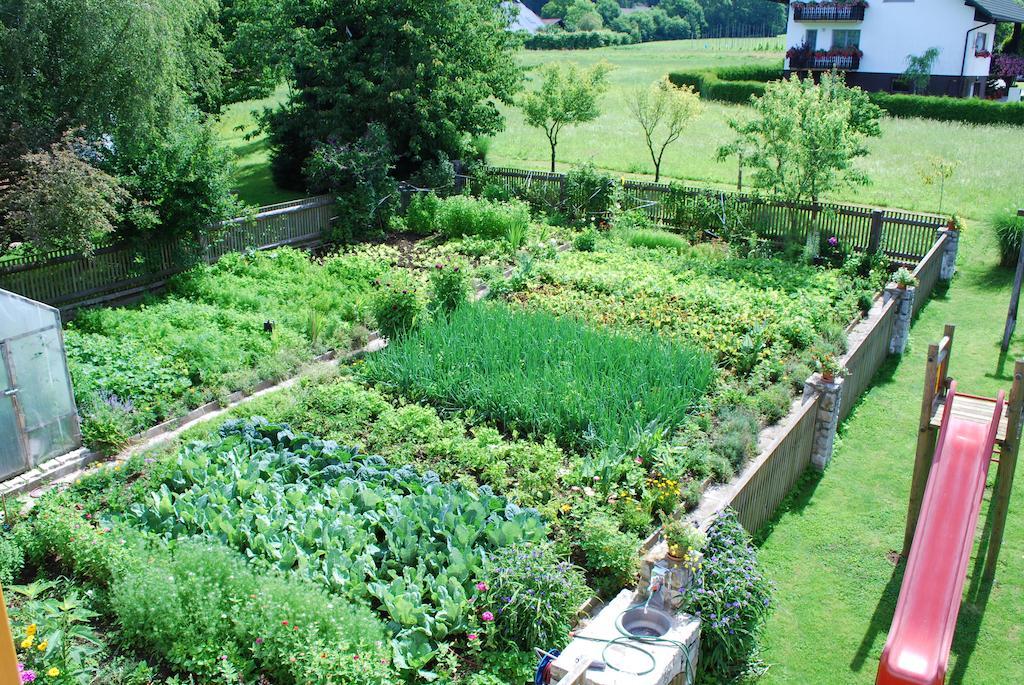 Farm Stay Rotovnik - Plesnik سلوفينج غرادتس المظهر الخارجي الصورة