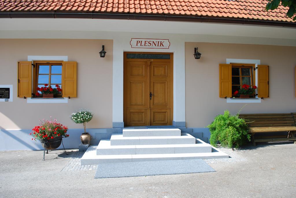 Farm Stay Rotovnik - Plesnik سلوفينج غرادتس المظهر الخارجي الصورة